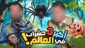 تحدي المعلومات – عالم الحشرات ! 🦂 🕷️ 🪲